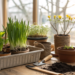Zimmerpflanzen vermehren im Frühling